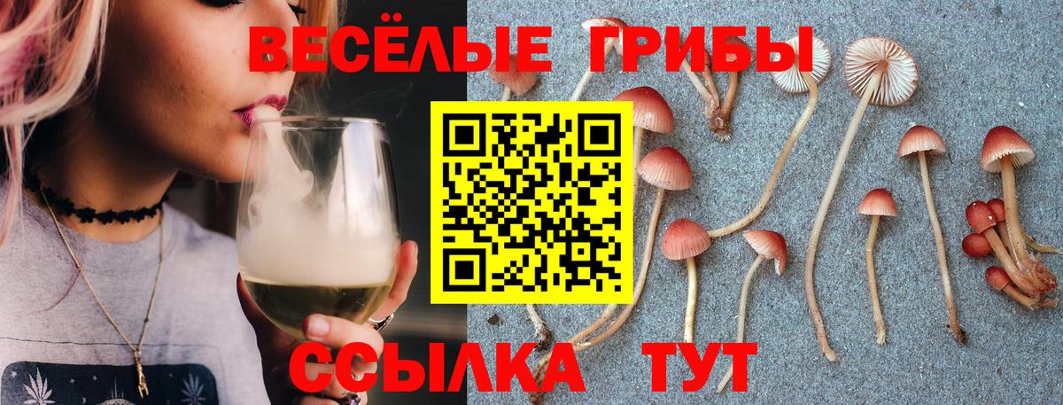 Псилоцибиновые грибы ЛСД Ростов Великий